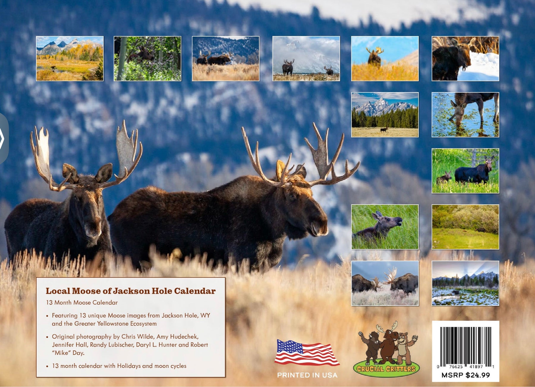 Local Moose of Jackson Hole 2024 13 Month Moose Calendar