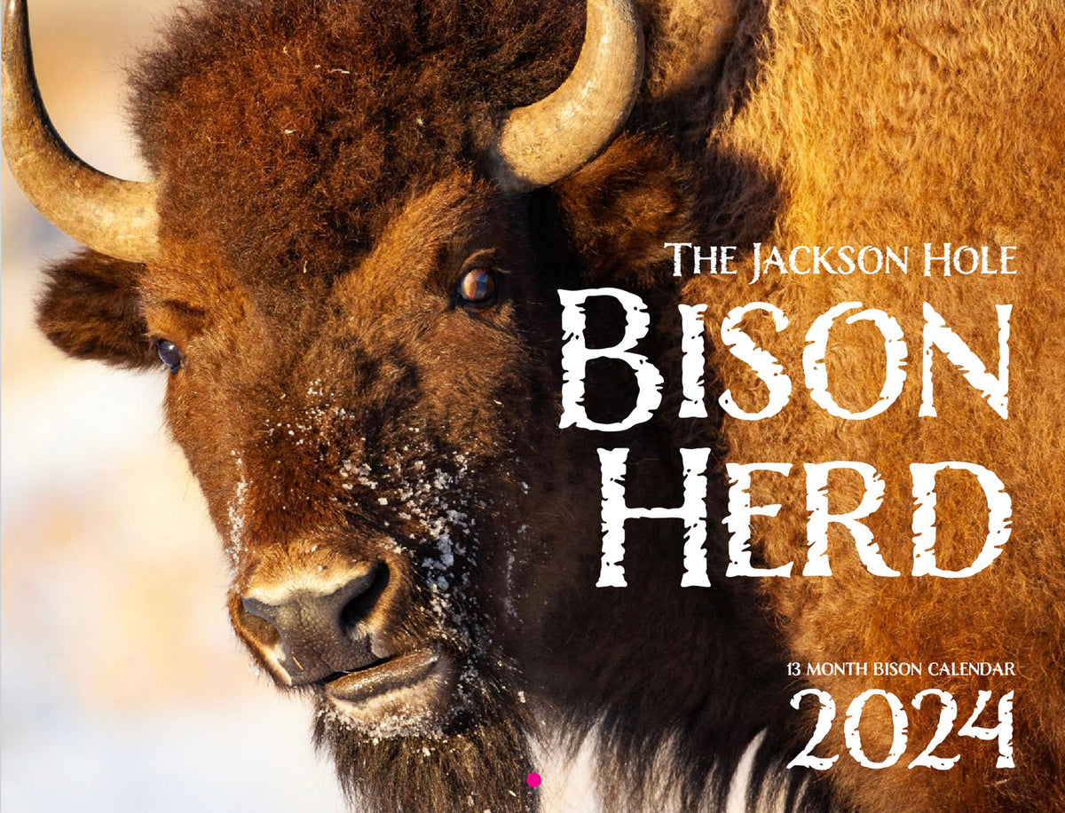 The Jackson Hole Bison Herd 2024 13 Month Bison Calendar