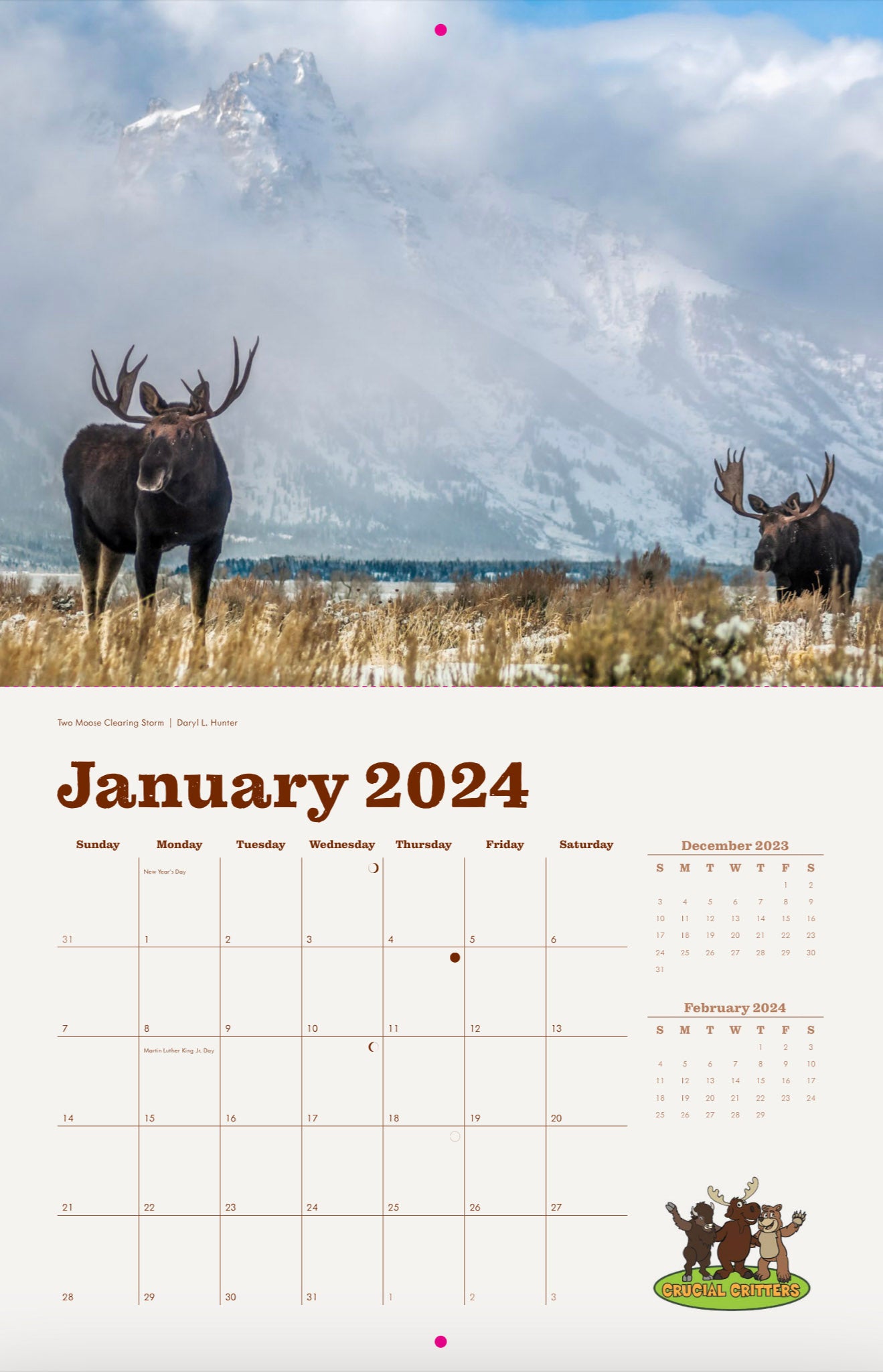 Local Moose of Jackson Hole 2024 13 Month Moose Calendar