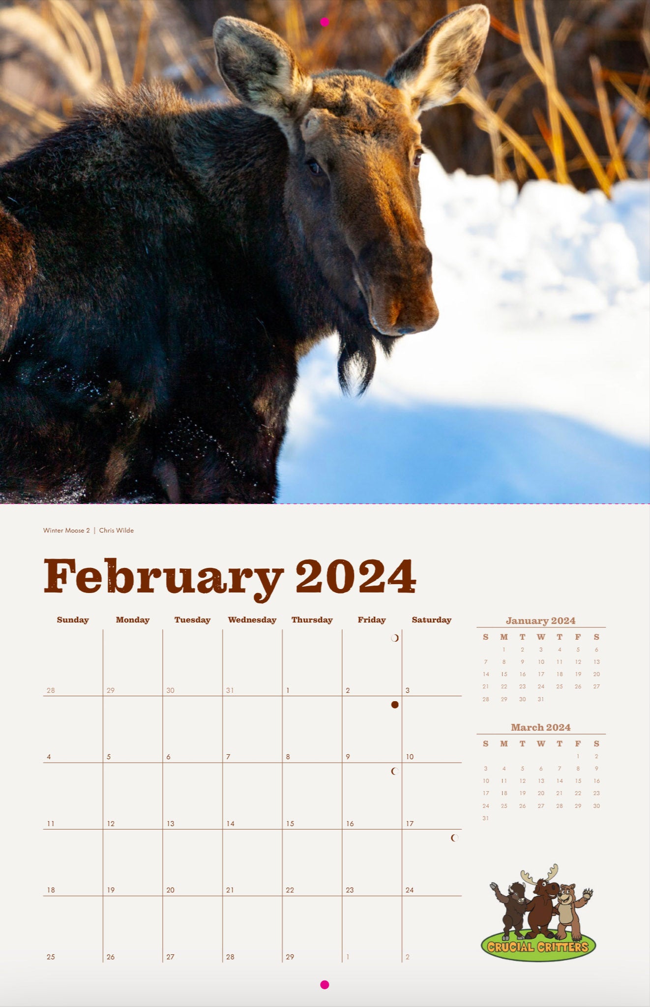 Local Moose of Jackson Hole 2024 13 Month Moose Calendar