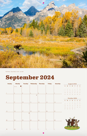 Local Moose of Jackson Hole 2024 13 Month Moose Calendar