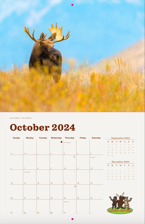 Local Moose of Jackson Hole 2024 13 Month Moose Calendar