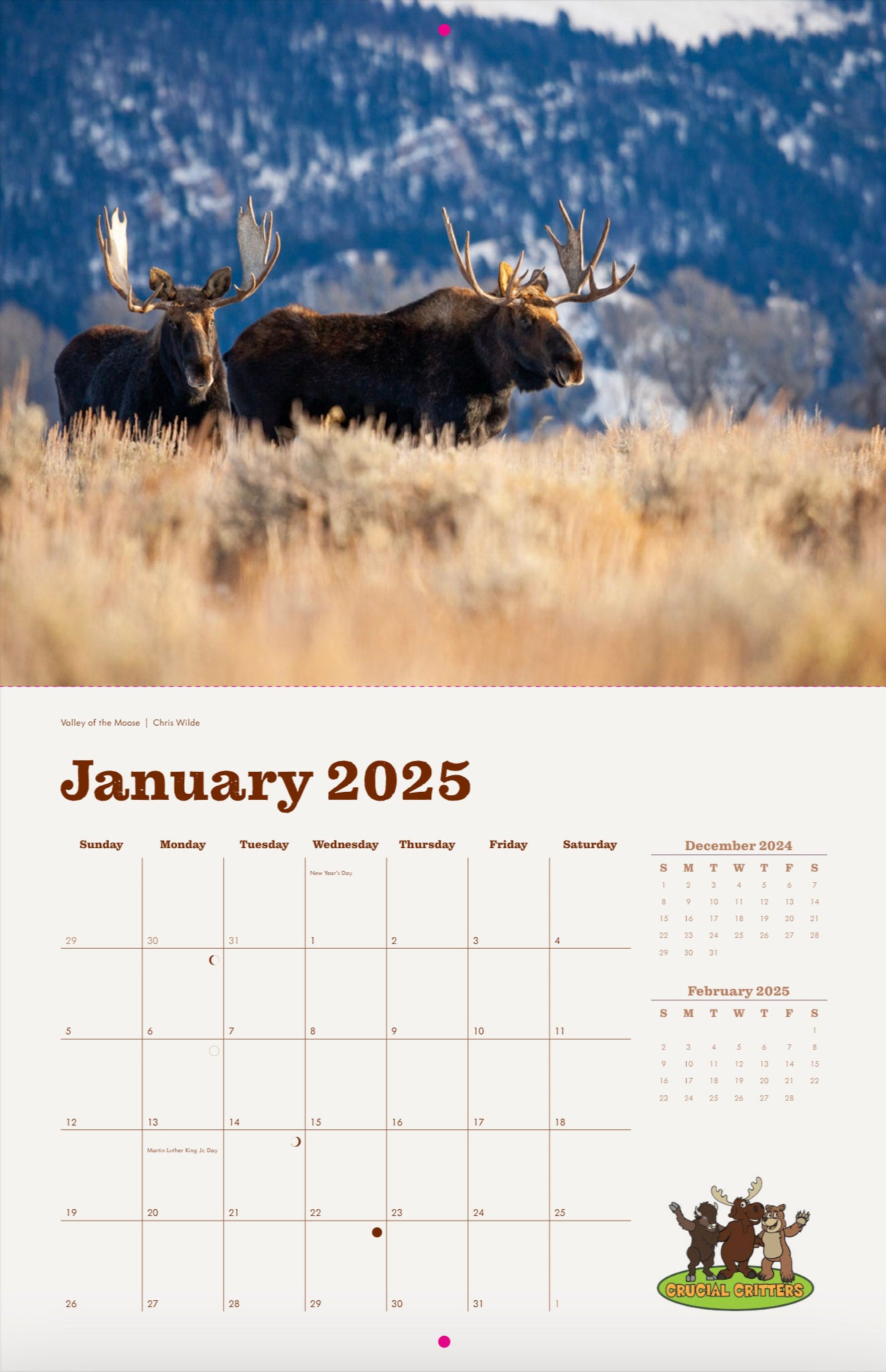 Local Moose of Jackson Hole 2024 13 Month Moose Calendar